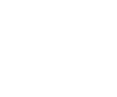 Bodega_Logo